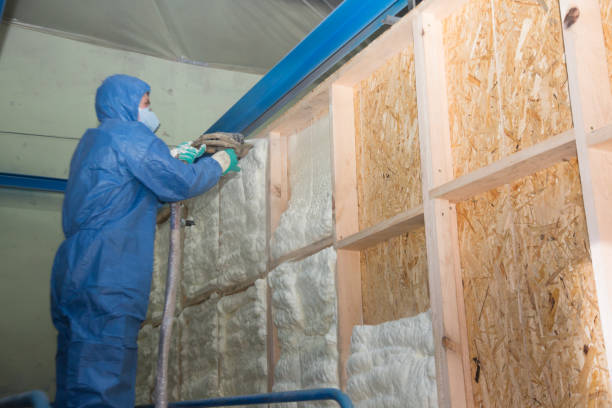 Best Insulation Replacement Services  in New Providence, NJ